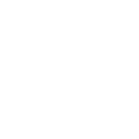 Zestnut logo image